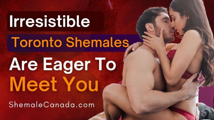 Irresistible Toronto Shemales Are Eager To Meet You