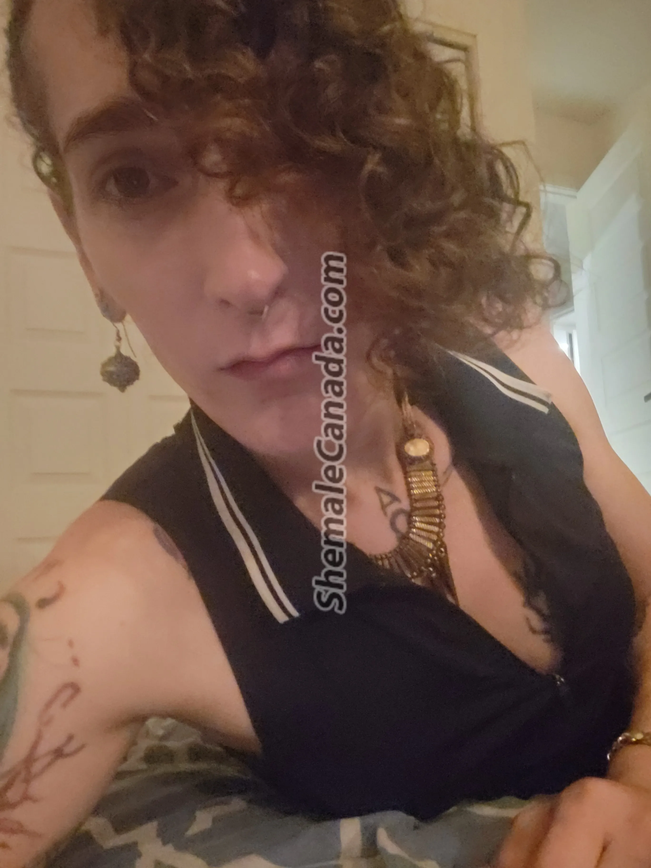 Feed Photo