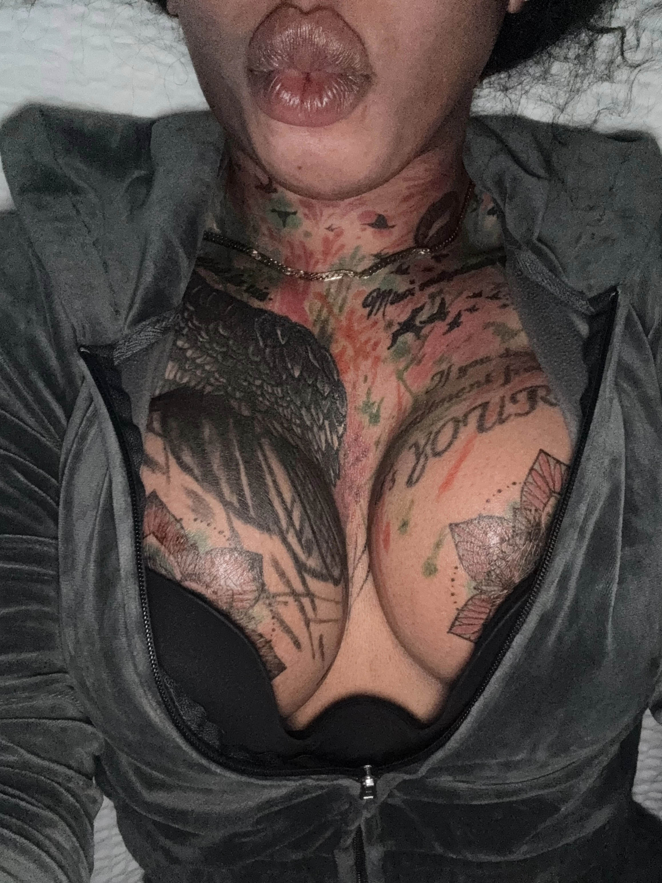 Feed Photo