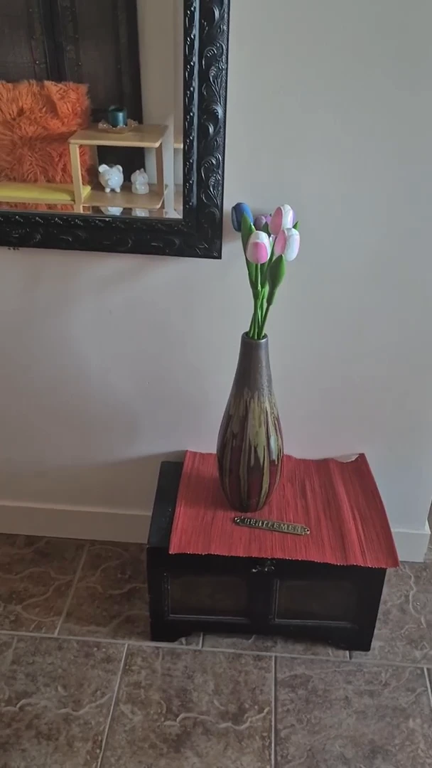 Video preview
