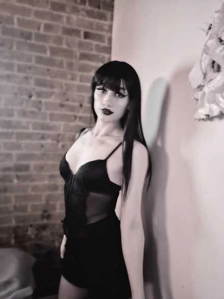 Photo 7 of Venus/4388652256