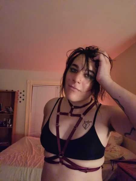 Thumbnail of Joan Wood’s photo gallery