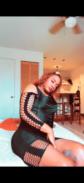 Thumbnail of Yasmine’s photo gallery