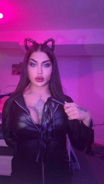 Thumbnail of Judy 20cm’s photo gallery