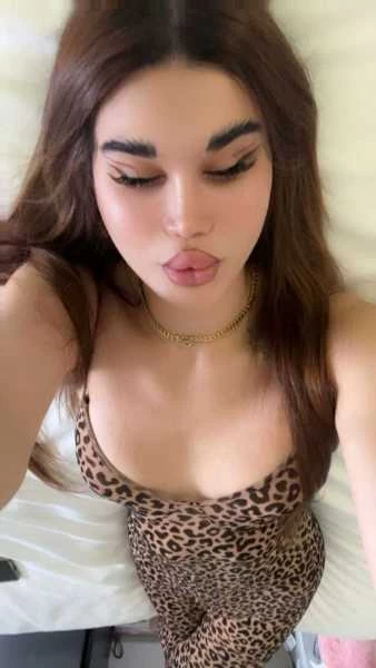 Photo 6 of Mayada