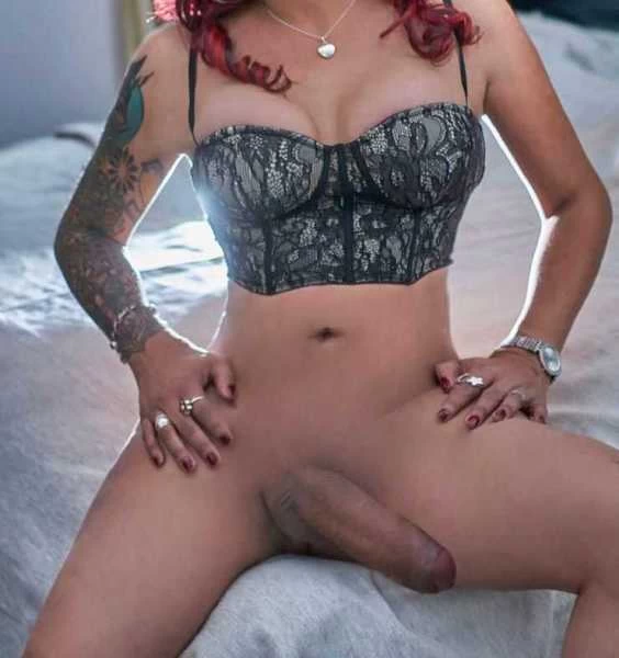 Photo 2 of Scarlatta