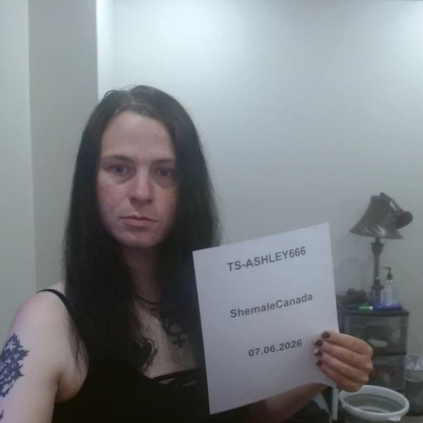 Photo 4 of TS-ASHLEY666