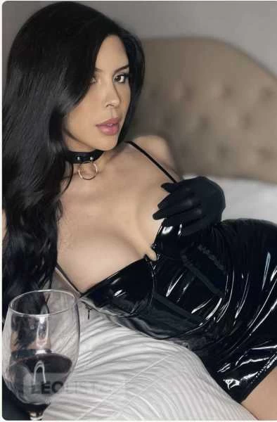 Photo 5 of RED DEER NOW.  CALGARY NOV15-29