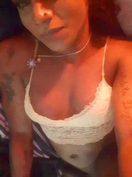 Photo 4 of Dandy Bask