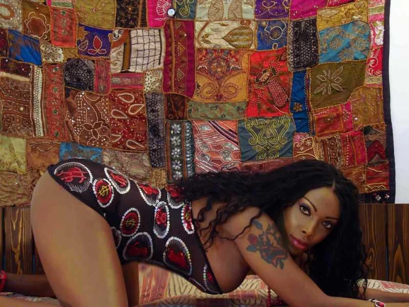 Photo 4 of Gabris Anaconda