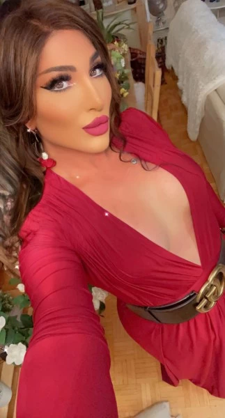 Photo 8 of Nisren 514-214-1196