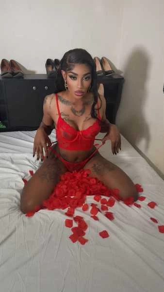 Photo 5 of TS PINK THE WELL HUNG CHOCOLATE DOLL