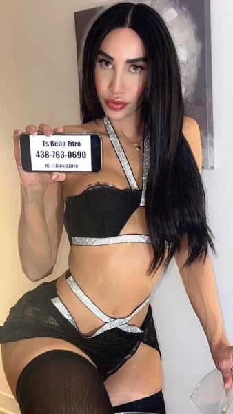 Photo 9 of TS BELLA ZITRO