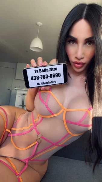 Photo 5 of TS BELLA ZITRO