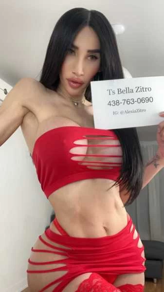 Photo 7 of TS BELLA ZITRO