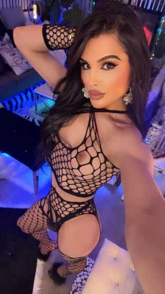 Photo 30 of {N O O R S T A R}