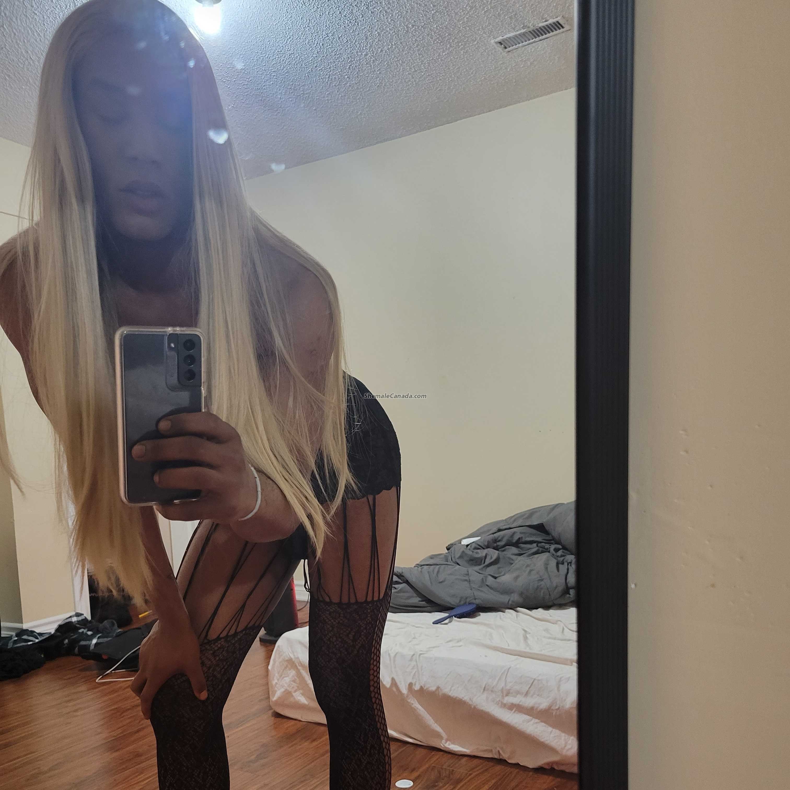 Mistress Chicago - TS Escort in Vaughan | ShemaleCanada.com