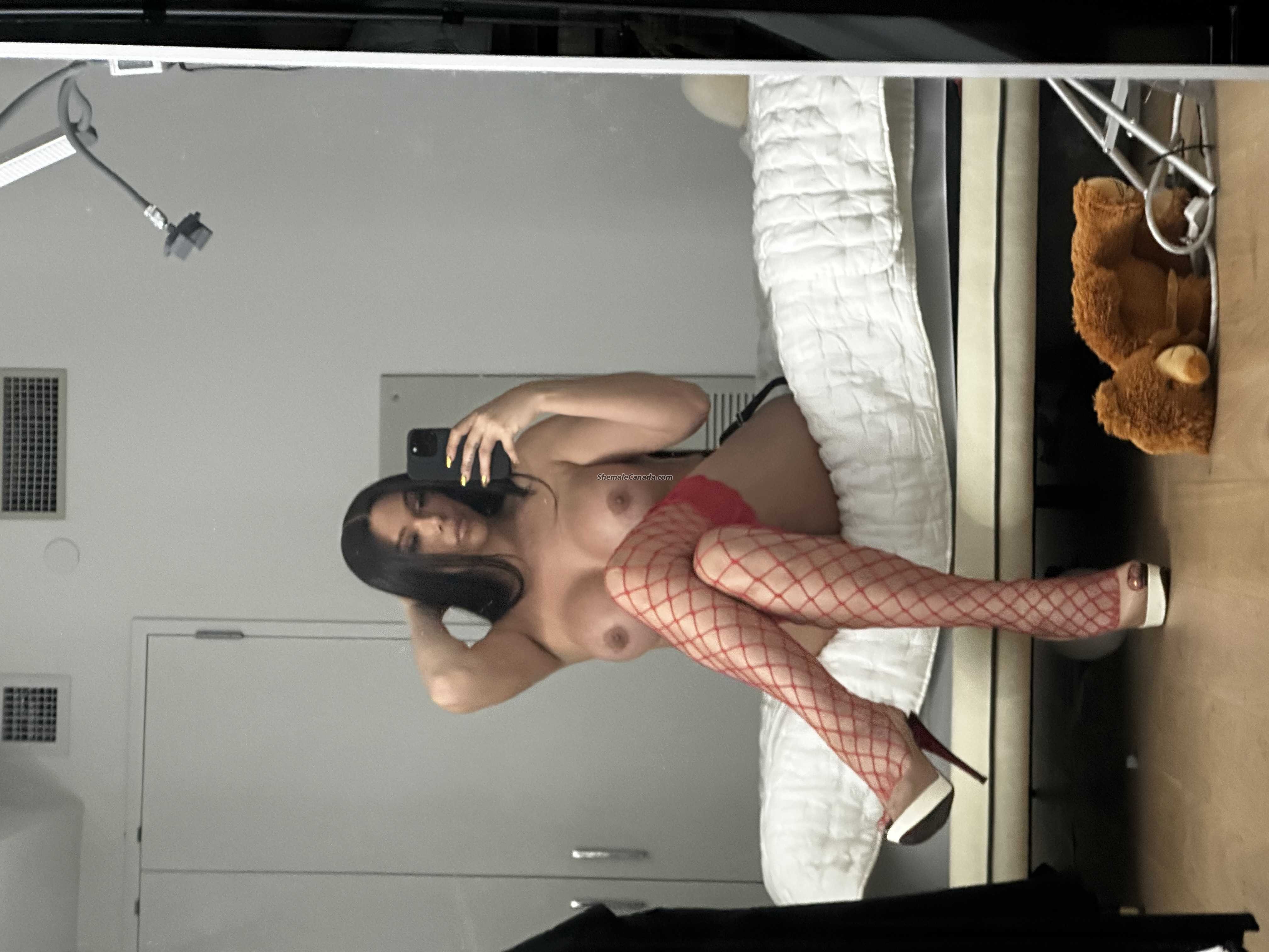 Lauren COX Yorkville - TS Escort in Toronto | ShemaleCanada.com