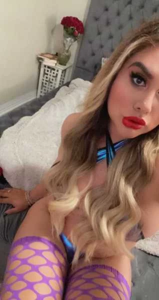 Photo 9 of Miranda available